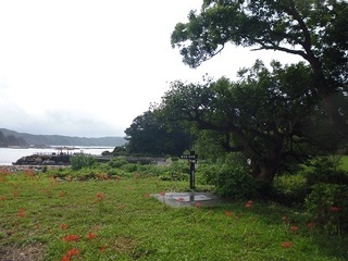 P1000416-2.jpg